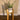 Plant Stand - Plans